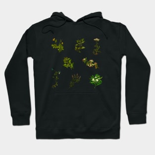 Vintage Botanical pack 2 Hoodie